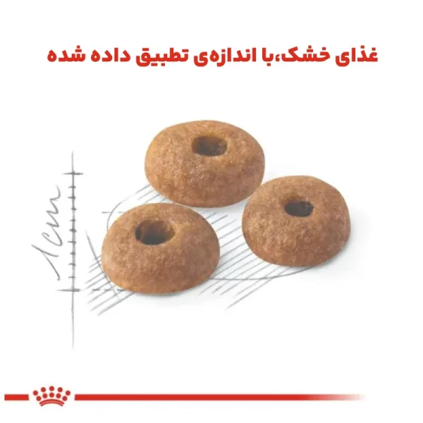 غذای گربه رویال کنین فیت ۲ کیلویی
