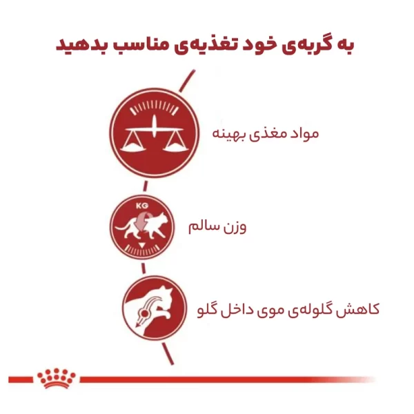 غذای گربه رویال کنین فیت ۲ کیلویی