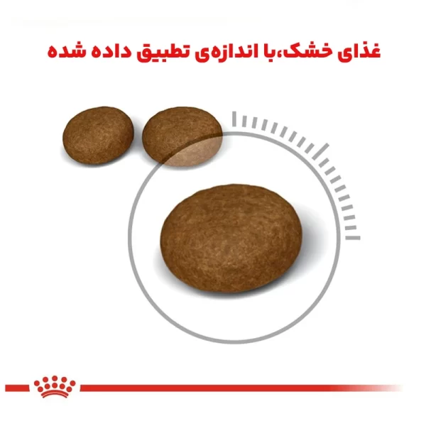 غذای خشک گربه هیر اند اسکین