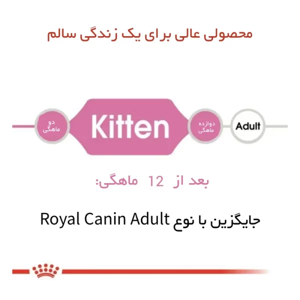 غذای گربه رویال کنین کیتن 10 کیلویی