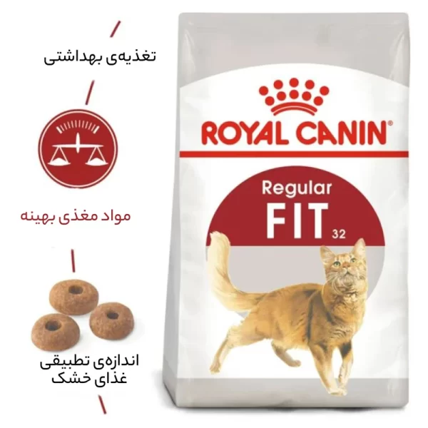 غذای گربه رویال کنین فیت ۲ کیلویی