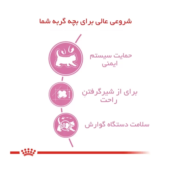 غذای گربه رویال کنین مادر اند بیبی ۲ کیلویی