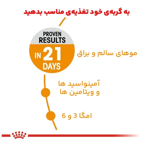 غذای گربه رویال کنین هیر اند اسکین ۲ کیلویی