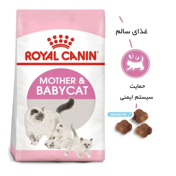 غذای گربه رویال کنین مادر اند بیبی ۲ کیلویی